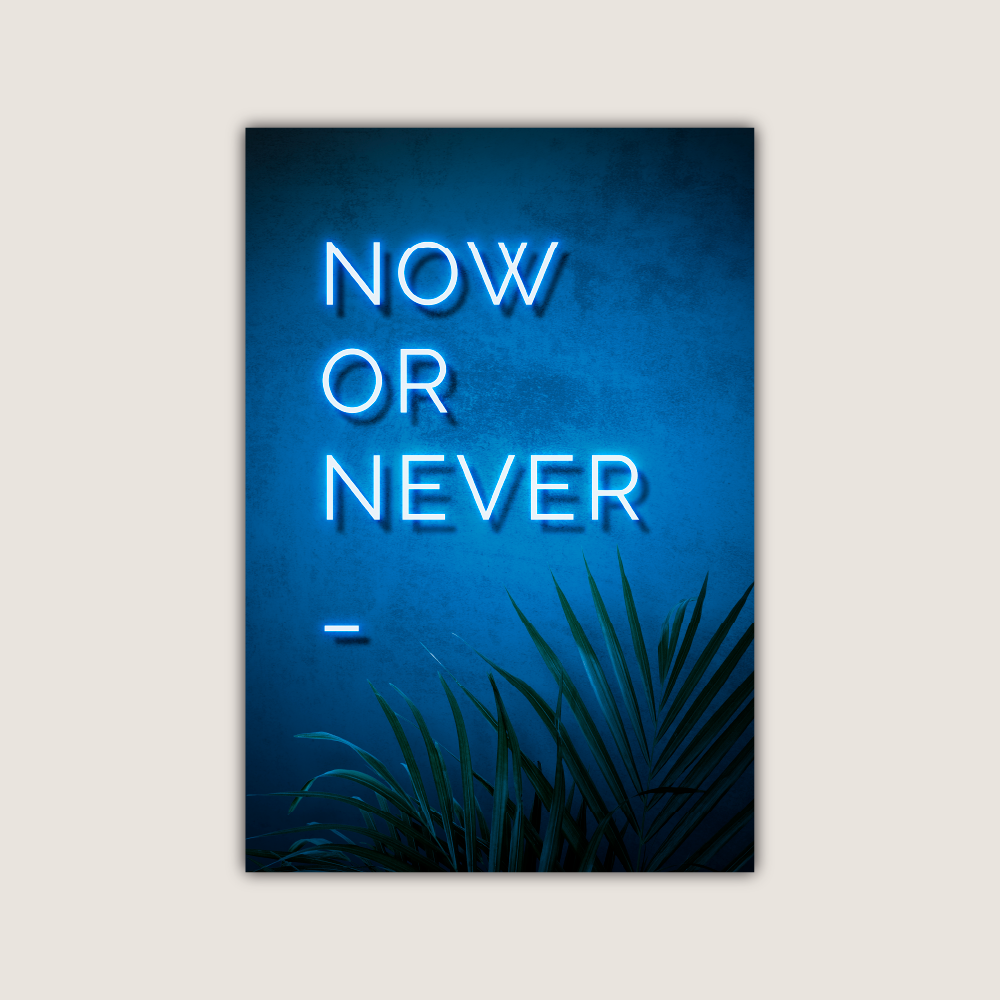 Now or Never CHAMBAL DESIGN CARTEL